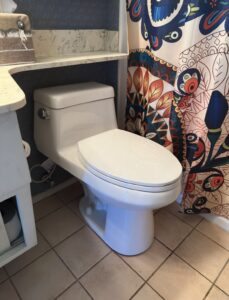 Toilet Replacement Project in Sun City